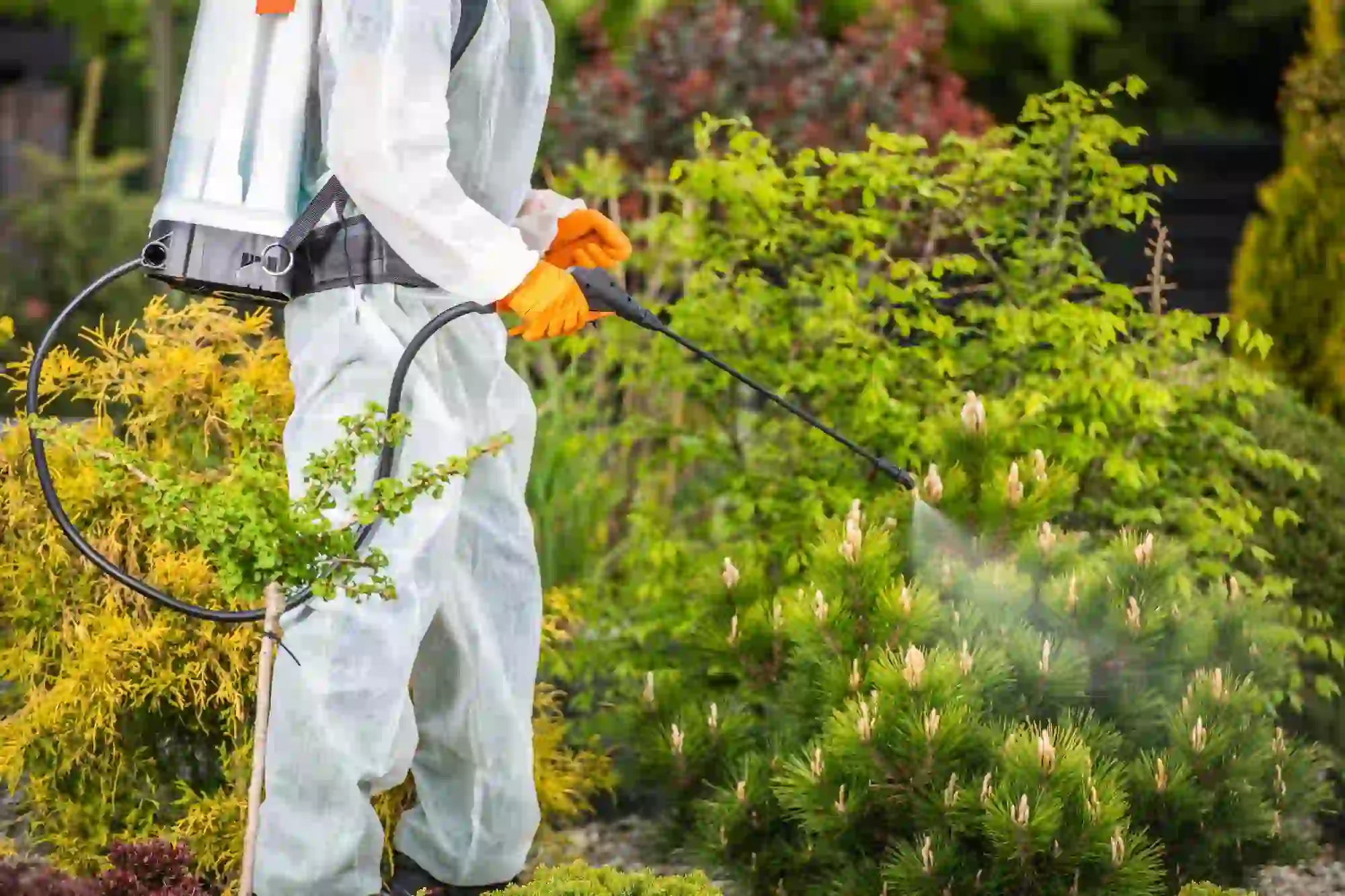سمپاشی فضای سبز
